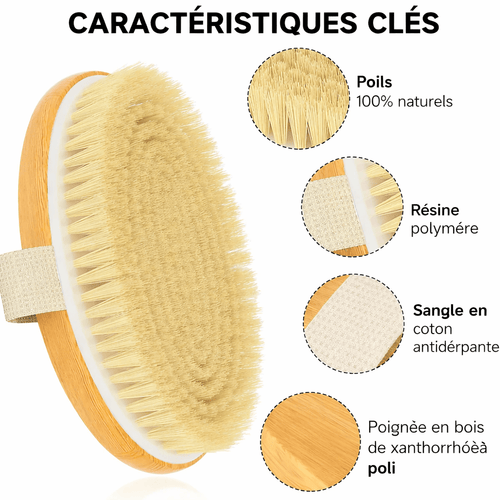 Brosse de massage anti-cellulite