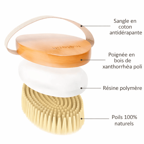 Brosse de massage anti-cellulite